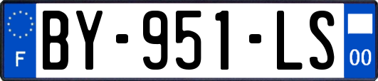 BY-951-LS