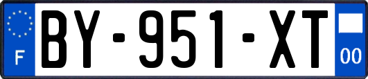BY-951-XT