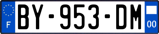 BY-953-DM
