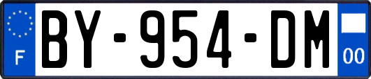 BY-954-DM