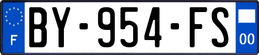 BY-954-FS