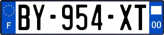 BY-954-XT