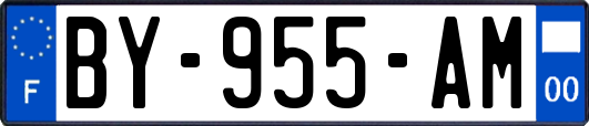 BY-955-AM