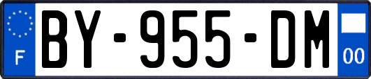 BY-955-DM