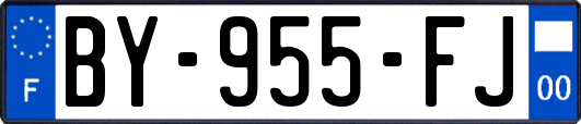 BY-955-FJ