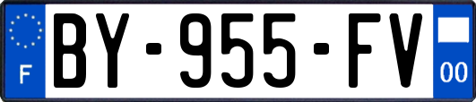 BY-955-FV