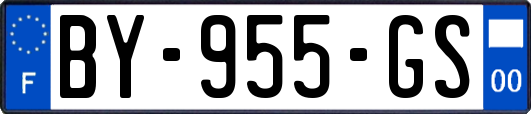 BY-955-GS