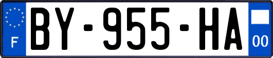 BY-955-HA