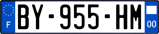 BY-955-HM