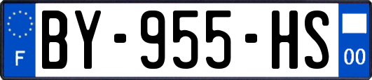 BY-955-HS