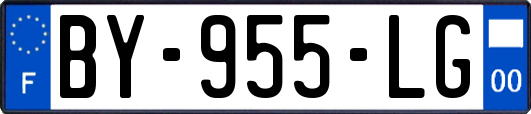 BY-955-LG