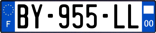 BY-955-LL