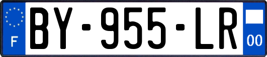 BY-955-LR