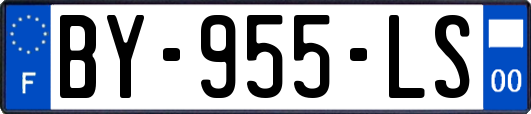 BY-955-LS