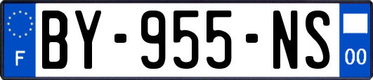 BY-955-NS
