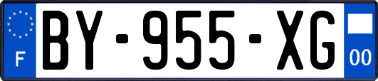 BY-955-XG