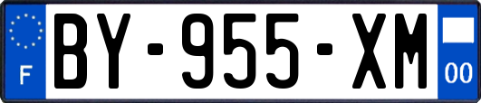 BY-955-XM