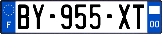 BY-955-XT