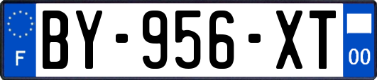 BY-956-XT