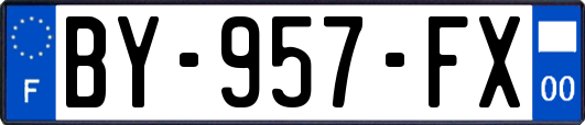 BY-957-FX