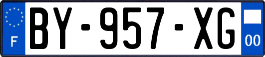BY-957-XG