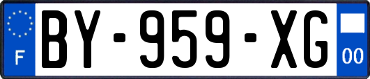 BY-959-XG