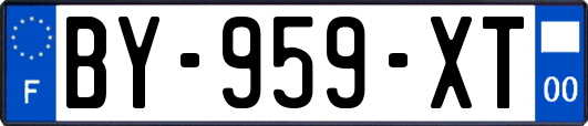 BY-959-XT