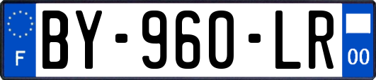 BY-960-LR