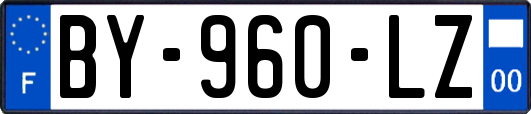 BY-960-LZ