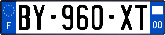 BY-960-XT