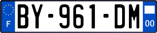BY-961-DM