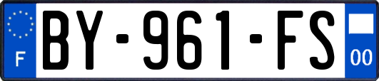 BY-961-FS