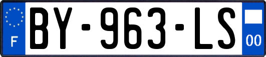 BY-963-LS