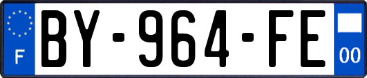 BY-964-FE