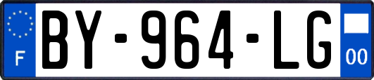 BY-964-LG