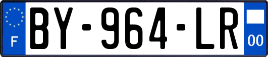 BY-964-LR