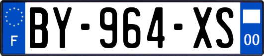 BY-964-XS