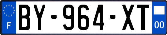 BY-964-XT