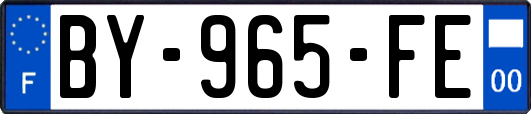 BY-965-FE