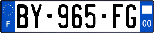 BY-965-FG