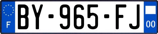 BY-965-FJ