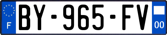 BY-965-FV