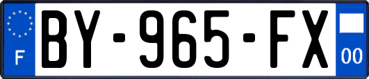 BY-965-FX