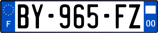 BY-965-FZ