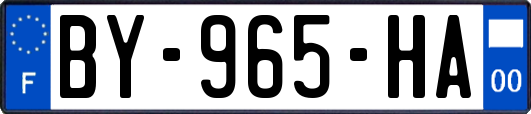 BY-965-HA