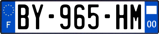 BY-965-HM