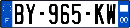 BY-965-KW