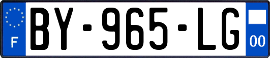 BY-965-LG