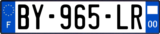 BY-965-LR