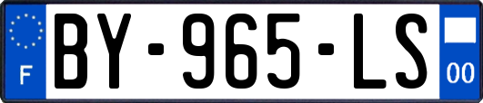 BY-965-LS